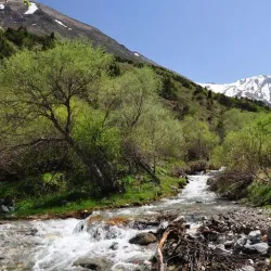 Aktobe Regional Nature Reserve - Alga