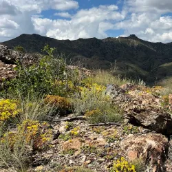 Steppe Hiking Trails - Alga
