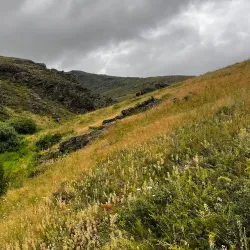 Steppe Hiking Trails - Alga