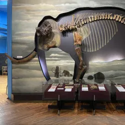 Central State Museum of Kazakhstan - Almaty