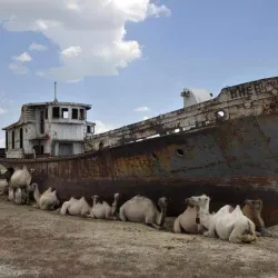 Aral Sea Ecological Research Center - Aral
