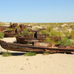 Aral Sea Ecological Research Center - Aral