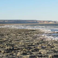 Aral Sea Ecological Research Center - Aral