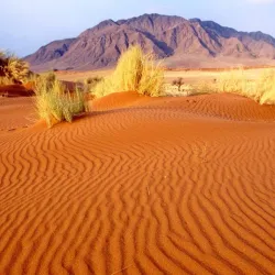 Aral Sea Ecological Research Center - Aral