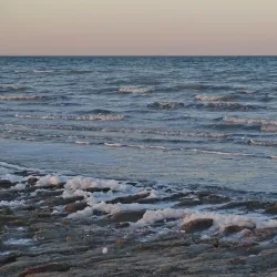 Aral Sea Ecological Research Center - Aral