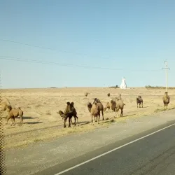 Aral Town Square - Aral