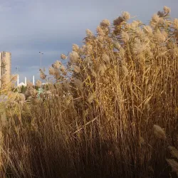 President's Park - Astana (Nur-Sultan)