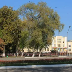 Cultural Center - Chapaev