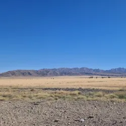 Tamgaly-Tas Petroglyphs - Esik