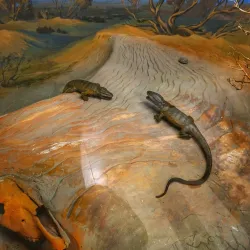 Jezkazgan Regional Museum - Jezkazgan (Zhezkazgan)