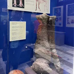 Jezkazgan Regional Museum - Jezkazgan (Zhezkazgan)