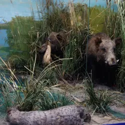 Jezkazgan Regional Museum - Jezkazgan (Zhezkazgan)