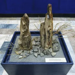 Jezkazgan Regional Museum - Jezkazgan (Zhezkazgan)