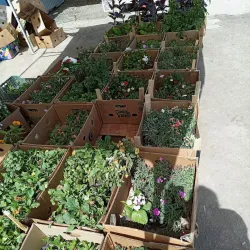 Local Market - Jezkazgan (Zhezkazgan)