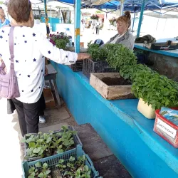 Local Market - Jezkazgan (Zhezkazgan)