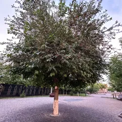 Monument to the Miners - Jezkazgan (Zhezkazgan)