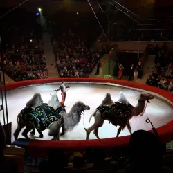 Karaganda Circus - Karaganda (Qaraghandy)