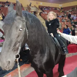 Karaganda Circus - Karaganda (Qaraghandy)