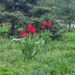 Victory Park - Karaganda (Qaraghandy)