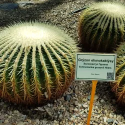 Kokshetau Botanical Garden - Kokshetau