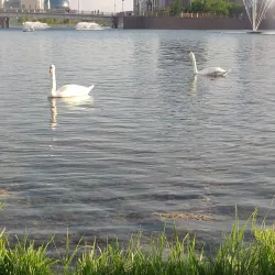 Kokshetau Botanical Garden - Kokshetau