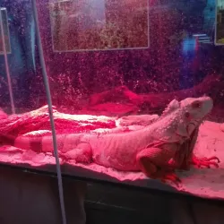 Kokshetau Drama Theater - Kokshetau