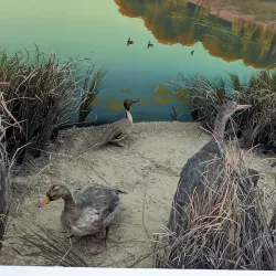 Kyzylorda Regional Museum - Kyzylorda