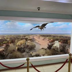 Kyzylorda Regional Museum - Kyzylorda