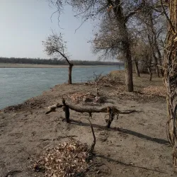 Syr Darya River Embankment - Kyzylorda