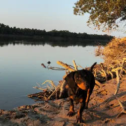 Syr Darya River Embankment - Kyzylorda