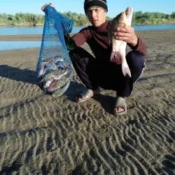 Syr Darya River Embankment - Kyzylorda