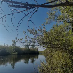 Ural River Embankment - Oral (Orál