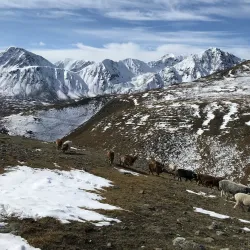 Altai Mountains - Oskemen