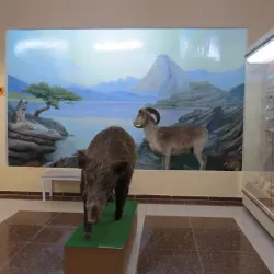 Museum of History and Culture of the Kazakh People - Pavlodar