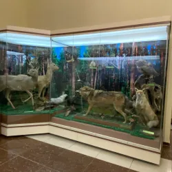 Museum of History and Culture of the Kazakh People - Pavlodar