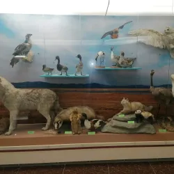 Pavlodar Regional Museum of Local Lore - Pavlodar