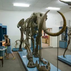 Pavlodar Regional Museum of Local Lore - Pavlodar