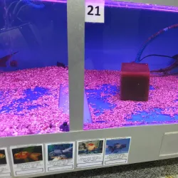 Pavlodar Zoo - Pavlodar