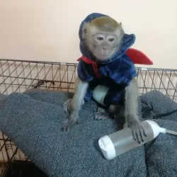 Pavlodar Zoo - Pavlodar