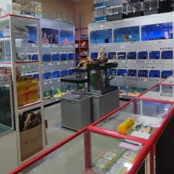 Pavlodar Zoo - Pavlodar