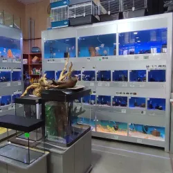 Pavlodar Zoo - Pavlodar