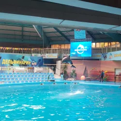 Central Park of Qarabalyq - Qarabalyq