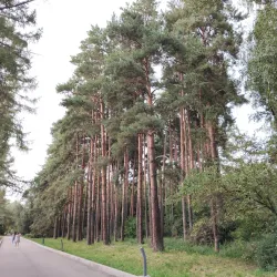 Qarabalyq Botanical Garden - Qarabalyq