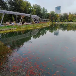 Qarabalyq Botanical Garden - Qarabalyq