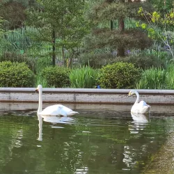 Qarabalyq Botanical Garden - Qarabalyq