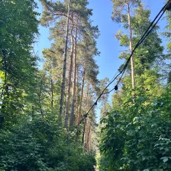 Qarabalyq Botanical Garden - Qarabalyq