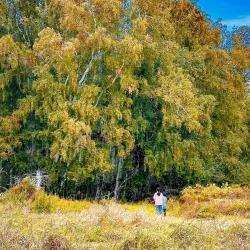 Saryarka Steppe Reserve - Qarabalyq