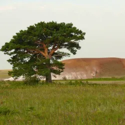 Saryarka Steppe Reserve - Qarabalyq