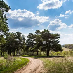 Saryarka Steppe Reserve - Qarabalyq