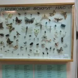 Museum of Fine Arts - Qostanay